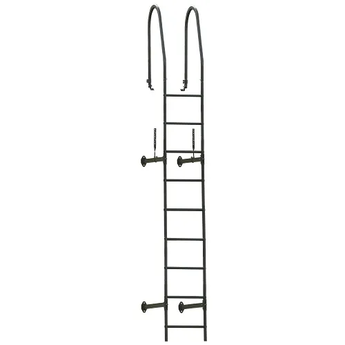Лестница стеновая Grand Line RAL 5005 3м
