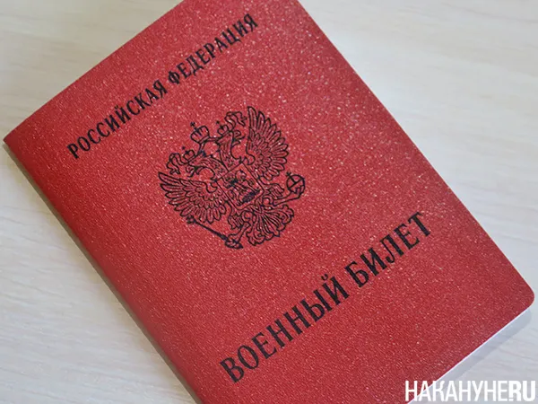 Профнастил С8А фигурный 0,4 PE в пленке RAL 6005 зеленый мох
