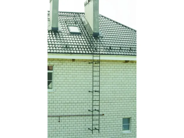 Лестница стеновая Grand Line RAL 7004 3м
